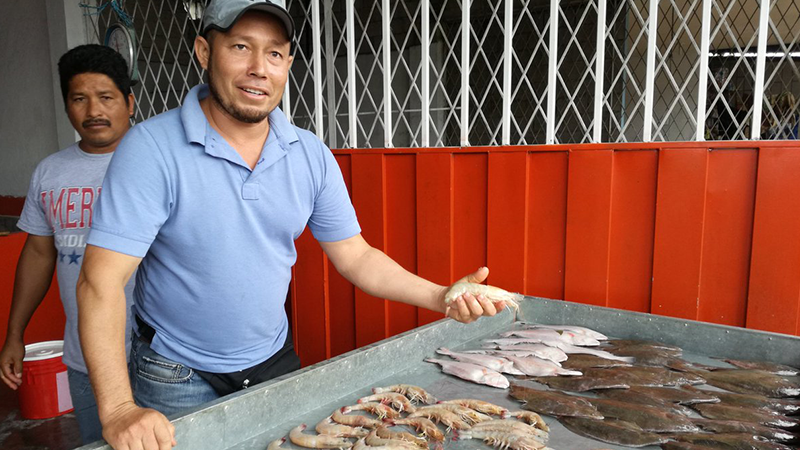 En Santo Domingo se implementa feria de productos del mar – Ministerio de  Agricultura y Ganadería