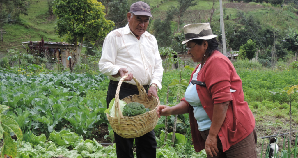 Mediante Comunidades De Aprendizaje Se Impulsa La Agricultura Familiar