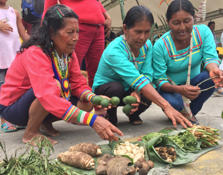 En Napo Se Realiza Encuentro De Diálogo De Saberes Ancestrales Y ...