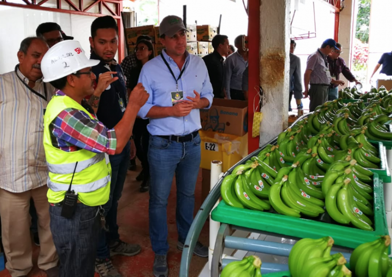 Ministro preside reunión técnica con productores de banano en El Oro Ministerio de Agricultura