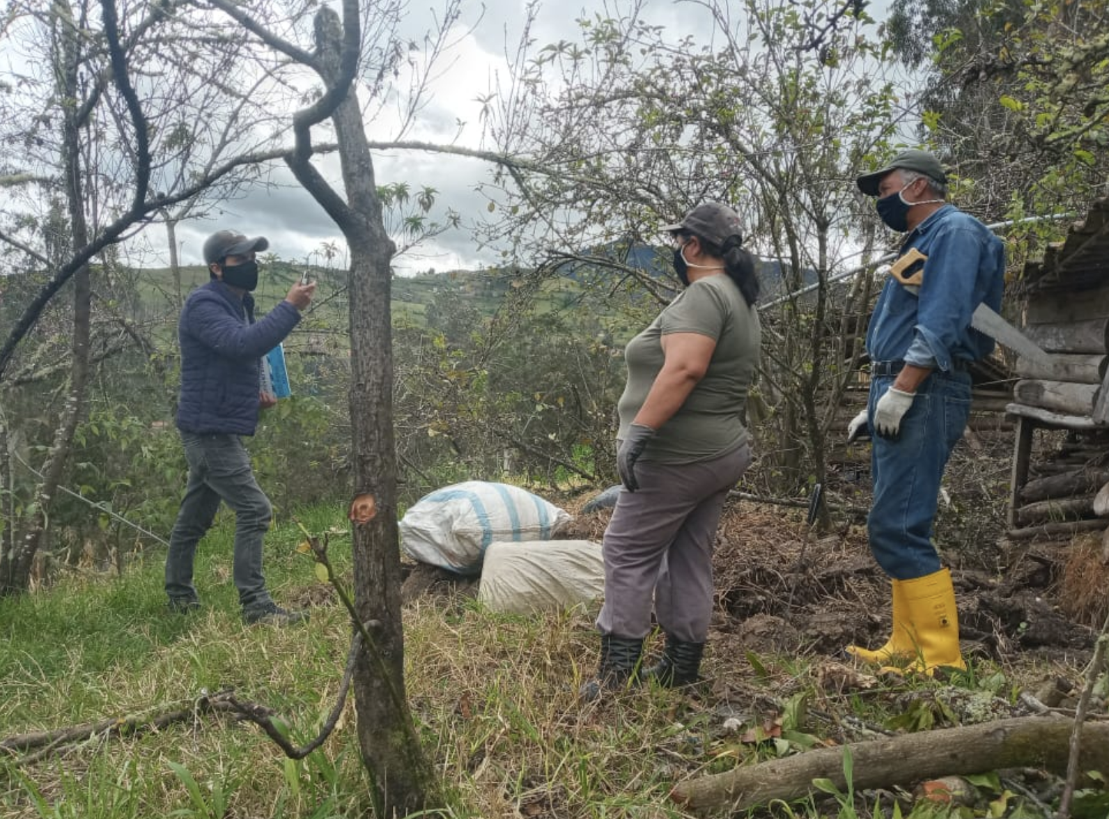 Inician podas en árboles frutales de Azuay – Ministerio de Agricultura y  Ganadería