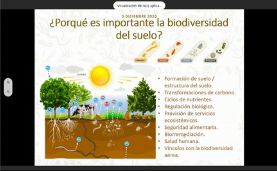 Mantener La Biodiversidad Del Suelo Clave Para Una Producción Sostenible Ministerio De 7532