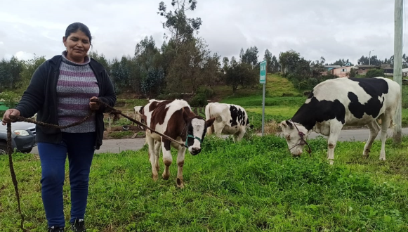 La Agricultura Y La Ganadera Son Las Actividades 2694