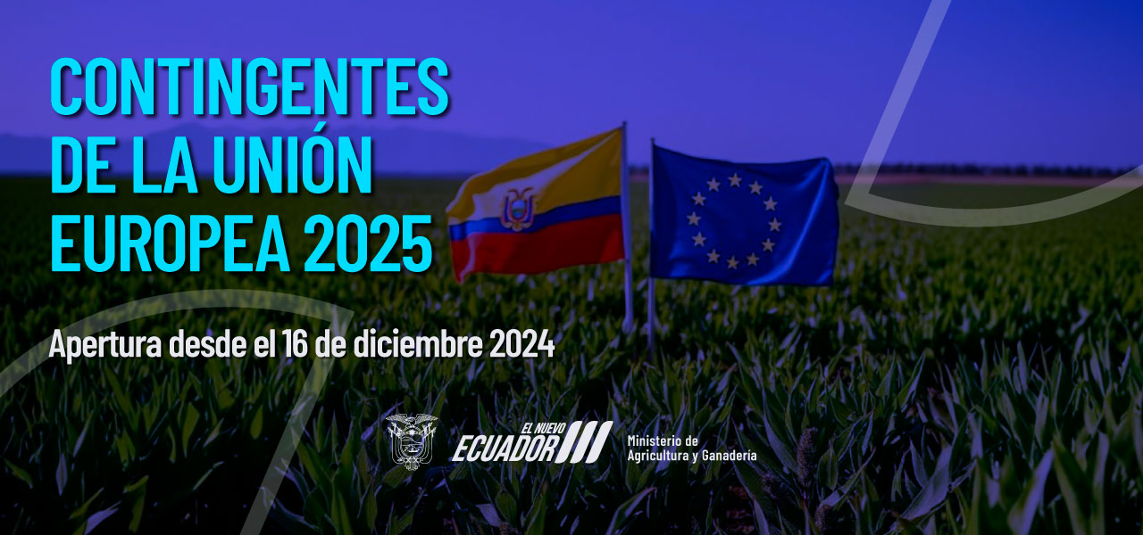 Contingentes de la Unión Europea 2025