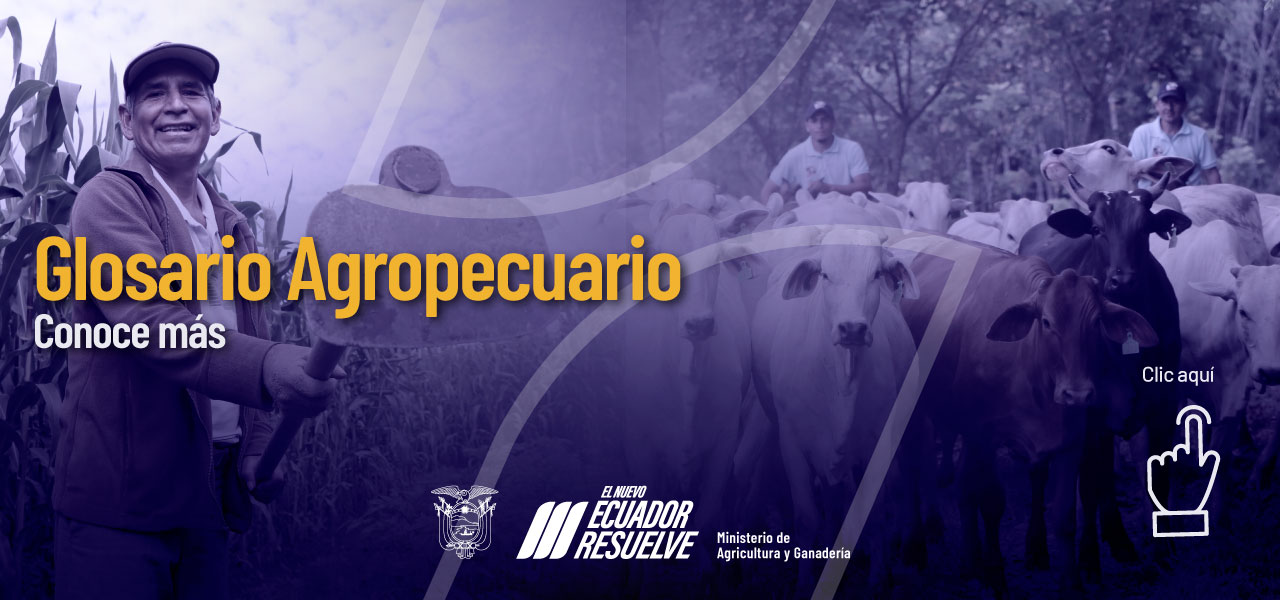 Glosario Agropecuario